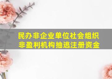 民办非企业单位社会组织 非盈利机构抽逃注册资金